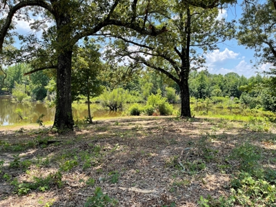 Land For Sale in McCurtain County, Southeast OK Ranch - image 36