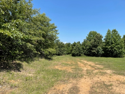 Land For Sale in McCurtain County, Southeast OK Ranch - image 9