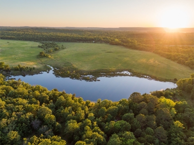 55 Acres - Incredible Fishing Pond - Absolutely Gorgeous - image 8