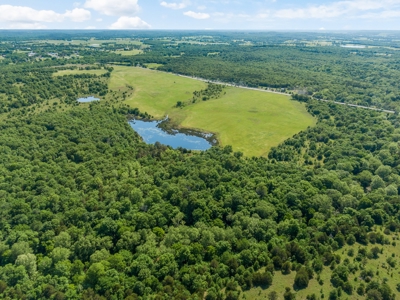 55 Acres - Incredible Fishing Pond - Absolutely Gorgeous - image 3