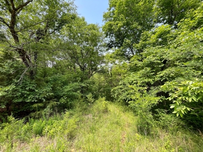 55 Acres - Incredible Fishing Pond - Absolutely Gorgeous - image 23