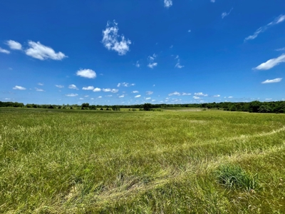 55 Acres - Incredible Fishing Pond - Absolutely Gorgeous - image 15