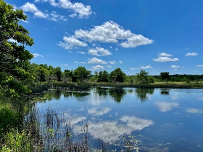 55 Acres - Incredible Fishing Pond - Absolutely Gorgeous - image 22