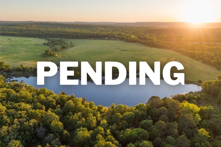 55 Acres - Incredible Fishing Pond - Absolutely Gorgeous - image 24