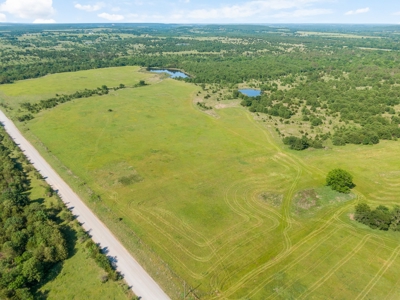 55 Acres - Incredible Fishing Pond - Absolutely Gorgeous - image 13