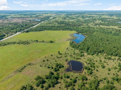 55 Acres - Incredible Fishing Pond - Absolutely Gorgeous - image 5