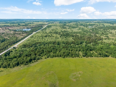 55 Acres - Incredible Fishing Pond - Absolutely Gorgeous - image 6