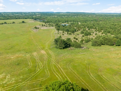 55 Acres - Incredible Fishing Pond - Absolutely Gorgeous - image 11