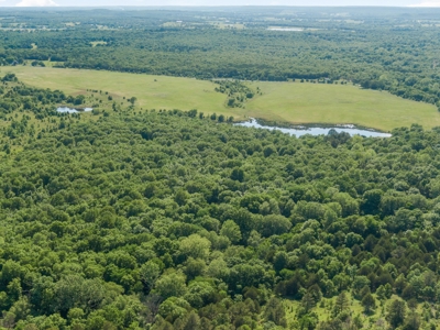 55 Acres - Incredible Fishing Pond - Absolutely Gorgeous - image 12