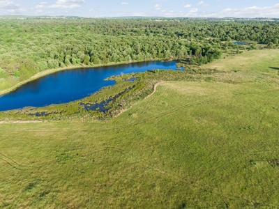 55 Acres - Incredible Fishing Pond - Absolutely Gorgeous - image 1
