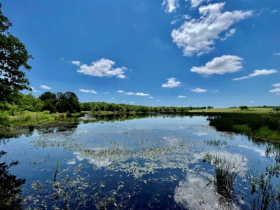 55 Acres - Incredible Fishing Pond - Absolutely Gorgeous - image 16