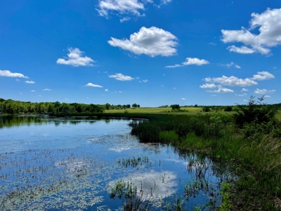 55 Acres - Incredible Fishing Pond - Absolutely Gorgeous - image 18
