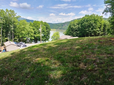 Home with Claytor Lake view - Hiwassee, VA - image 6