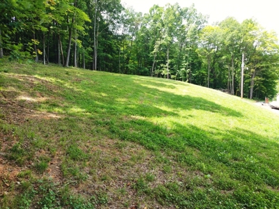 Home with Claytor Lake view - Hiwassee, VA - image 8