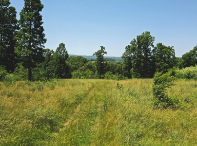 East Tennessee Farm for Sale Grainger County- Rutledge 37861 - image 25