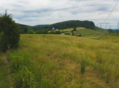 East Tennessee Farm for Sale Grainger County- Rutledge 37861 - image 36