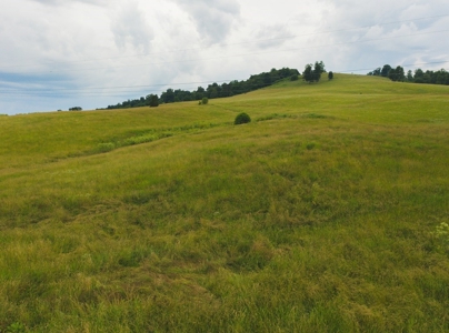 East Tennessee Farm for Sale Grainger County- Rutledge 37861 - image 38