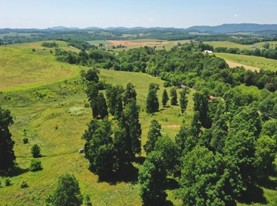 East Tennessee Farm for Sale Grainger County- Rutledge 37861 - image 28