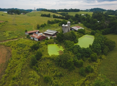 East Tennessee Farm for Sale Grainger County- Rutledge 37861 - image 46