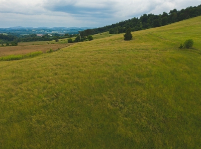 East Tennessee Farm for Sale Grainger County- Rutledge 37861 - image 41