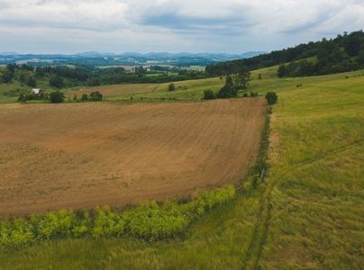 East Tennessee Farm for Sale Grainger County- Rutledge 37861 - image 39