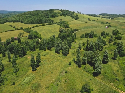East Tennessee Farm for Sale Grainger County- Rutledge 37861 - image 5