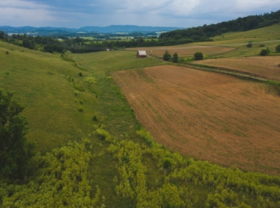 East Tennessee Farm for Sale Grainger County- Rutledge 37861 - image 45
