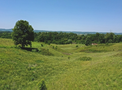 East Tennessee Farm for Sale Grainger County- Rutledge 37861 - image 2