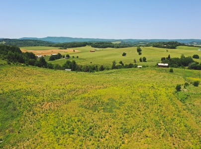 East Tennessee Farm for Sale Grainger County- Rutledge 37861 - image 16