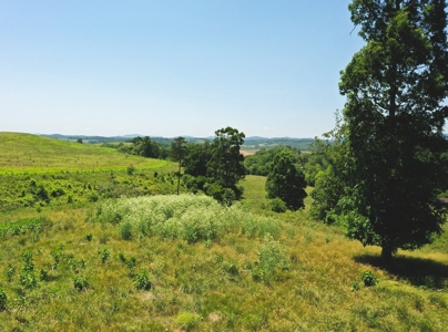 East Tennessee Farm for Sale Grainger County- Rutledge 37861 - image 26