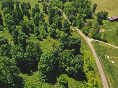 East Tennessee Farm for Sale Grainger County- Rutledge 37861 - image 29