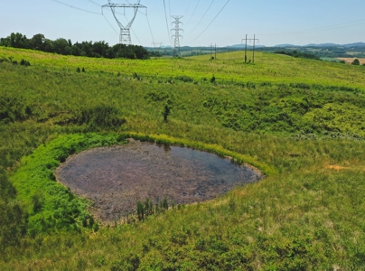 East Tennessee Farm for Sale Grainger County- Rutledge 37861 - image 12