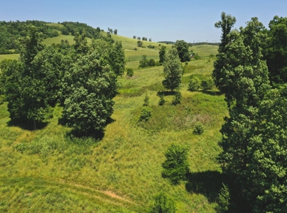 East Tennessee Farm for Sale Grainger County- Rutledge 37861 - image 7