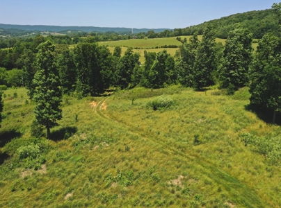 East Tennessee Farm for Sale Grainger County- Rutledge 37861 - image 8