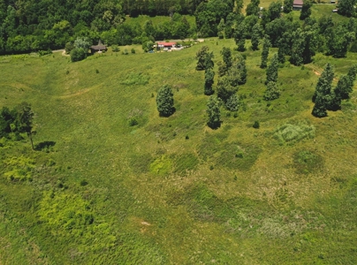 East Tennessee Farm for Sale Grainger County- Rutledge 37861 - image 6