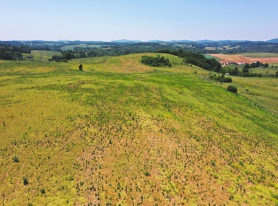East Tennessee Farm for Sale Grainger County- Rutledge 37861 - image 13
