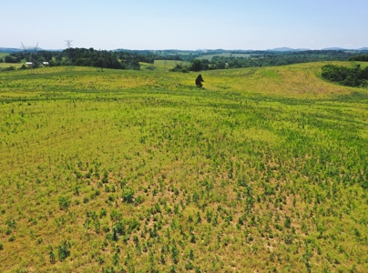 East Tennessee Farm for Sale Grainger County- Rutledge 37861 - image 14