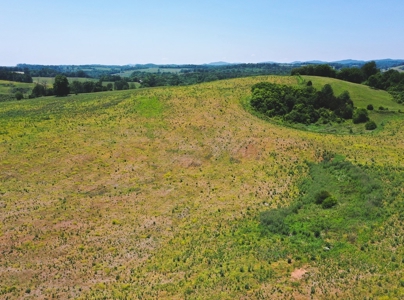 East Tennessee Farm for Sale Grainger County- Rutledge 37861 - image 18