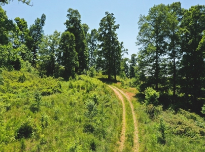 East Tennessee Farm for Sale Grainger County- Rutledge 37861 - image 32