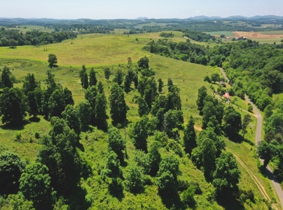 East Tennessee Farm for Sale Grainger County- Rutledge 37861 - image 30