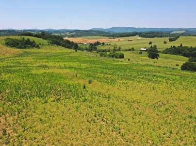 East Tennessee Farm for Sale Grainger County- Rutledge 37861 - image 15