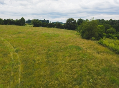 East Tennessee Farm for Sale Grainger County- Rutledge 37861 - image 49