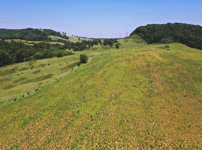 East Tennessee Farm for Sale Grainger County- Rutledge 37861 - image 24