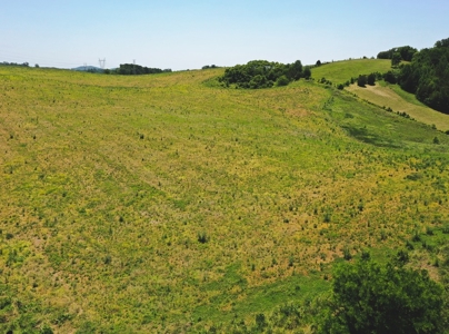 East Tennessee Farm for Sale Grainger County- Rutledge 37861 - image 21