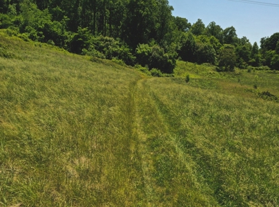 East Tennessee Farm for Sale Grainger County- Rutledge 37861 - image 10