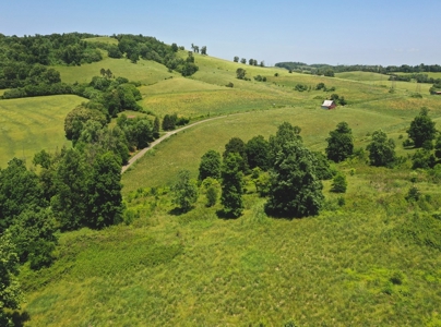 East Tennessee Farm for Sale Grainger County- Rutledge 37861 - image 27