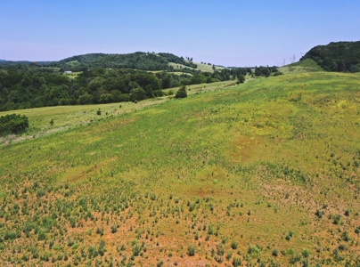 East Tennessee Farm for Sale Grainger County- Rutledge 37861 - image 17