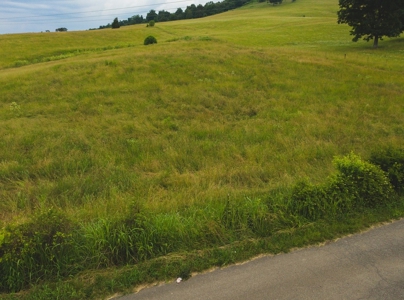 East Tennessee Farm for Sale Grainger County- Rutledge 37861 - image 37
