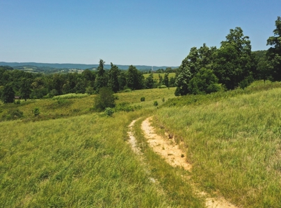 East Tennessee Farm for Sale Grainger County- Rutledge 37861 - image 11
