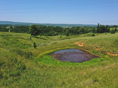East Tennessee Farm for Sale Grainger County- Rutledge 37861 - image 1